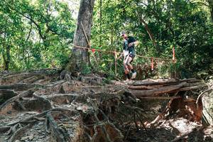 BIB: 
                            <button type="button" onclick="openModal(27800138)" class="btn btn-primary btn-sm float-right btn-popup" data-toggle="modal" data-target=".modal-high-quality">
                        <i class="fas fa-shopping-cart"></i> Add to Cart
                    </button>
                                            <button type="button" onclick="isThisMe(27800138, true)" class="btn btn-success btn-sm float-right btn-popup btn-isme hidden" data-toggle="tooltip" data-placement="bottom" title="นี่คือรูปของคุณใช่ไหม คลิกที่นี่เพื่อเอาเข้าอัลบั้ม">
                        <i class="fas fa-plus"></i> Add to album
                    </button>
                    <button type="button" onclick="isThisMe(27800138, false)" class="btn btn-warning btn-sm float-right btn-popup btn-isnotme hidden">
                        <i class="fas fa-ban"></i> Remove from album
                    </button>